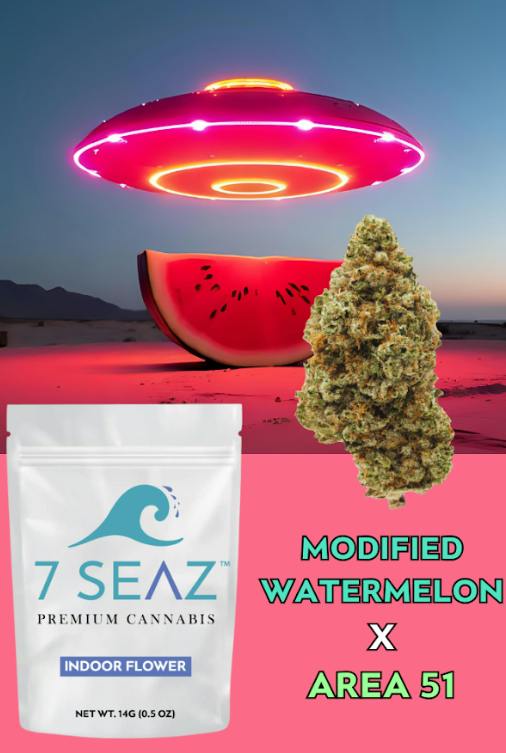 Modified Watermelon x Area 51 | Big Buds | 14g