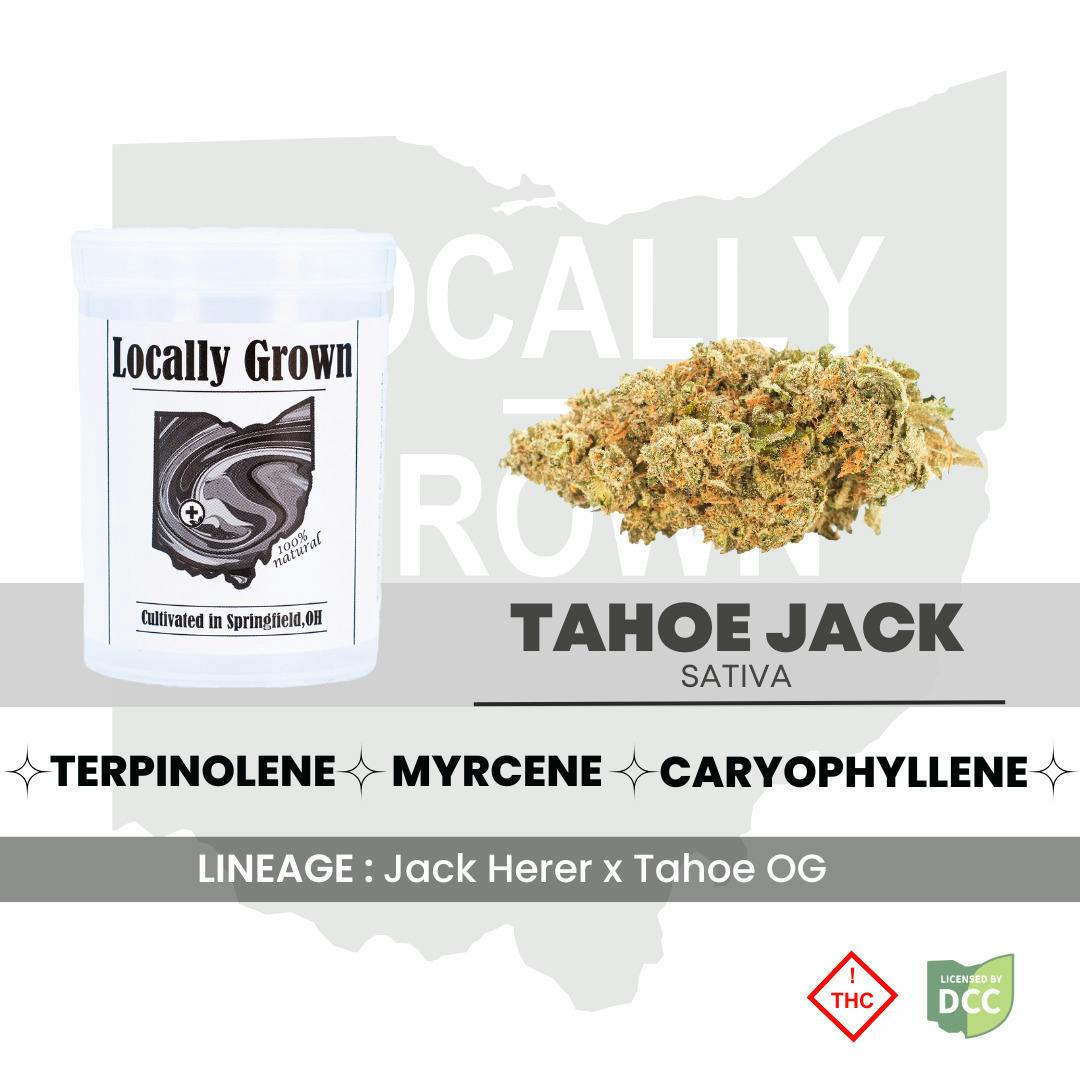 Tahoe Jack | Big Buds | 2.83g at Pure Ohio Wellness