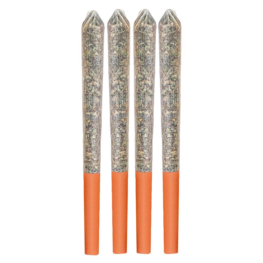 Orange Layer Cake | Minis | 0.5g | 4pk