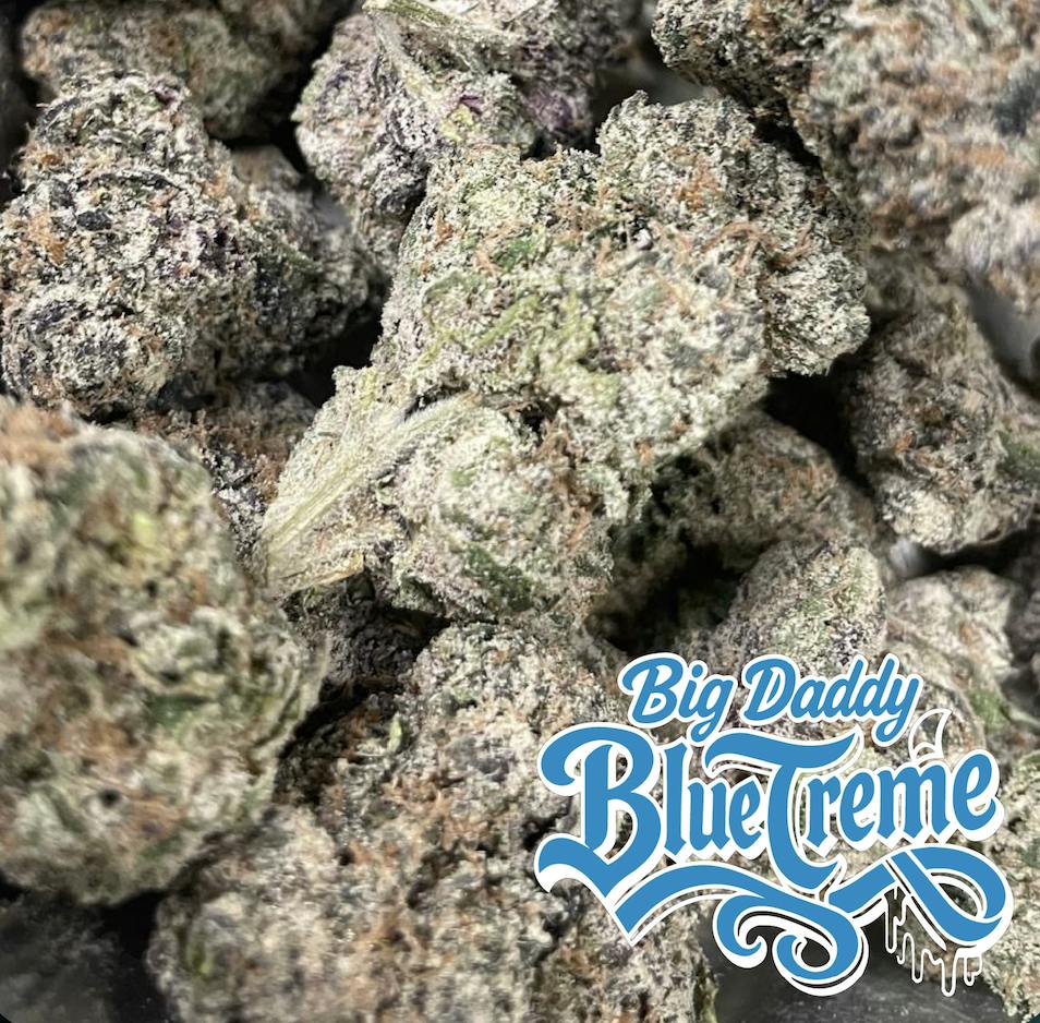 Big Daddy Blue Buds