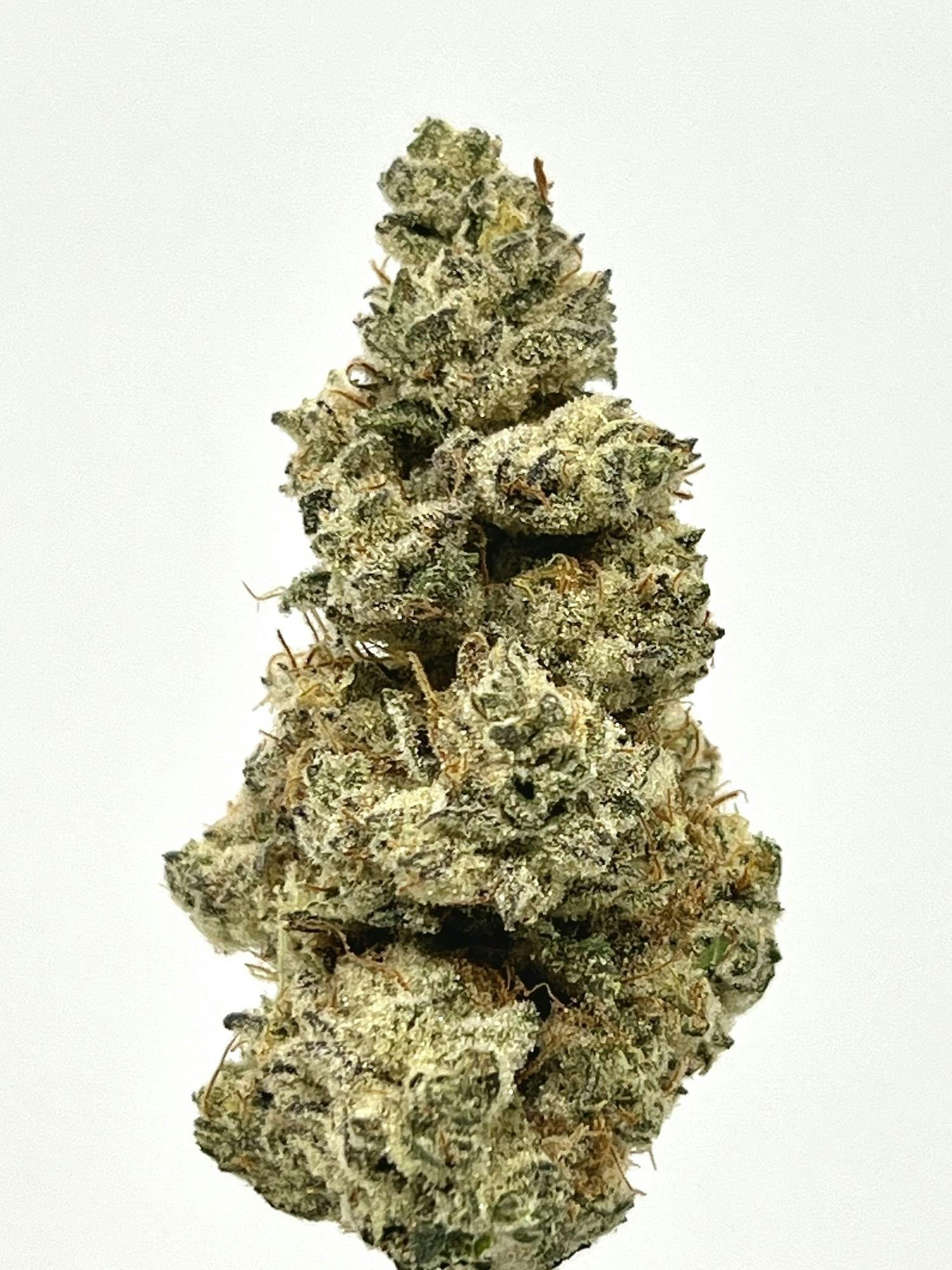 Orange Crush | Big Buds | 3.5g by Ironlung (Recreational)
