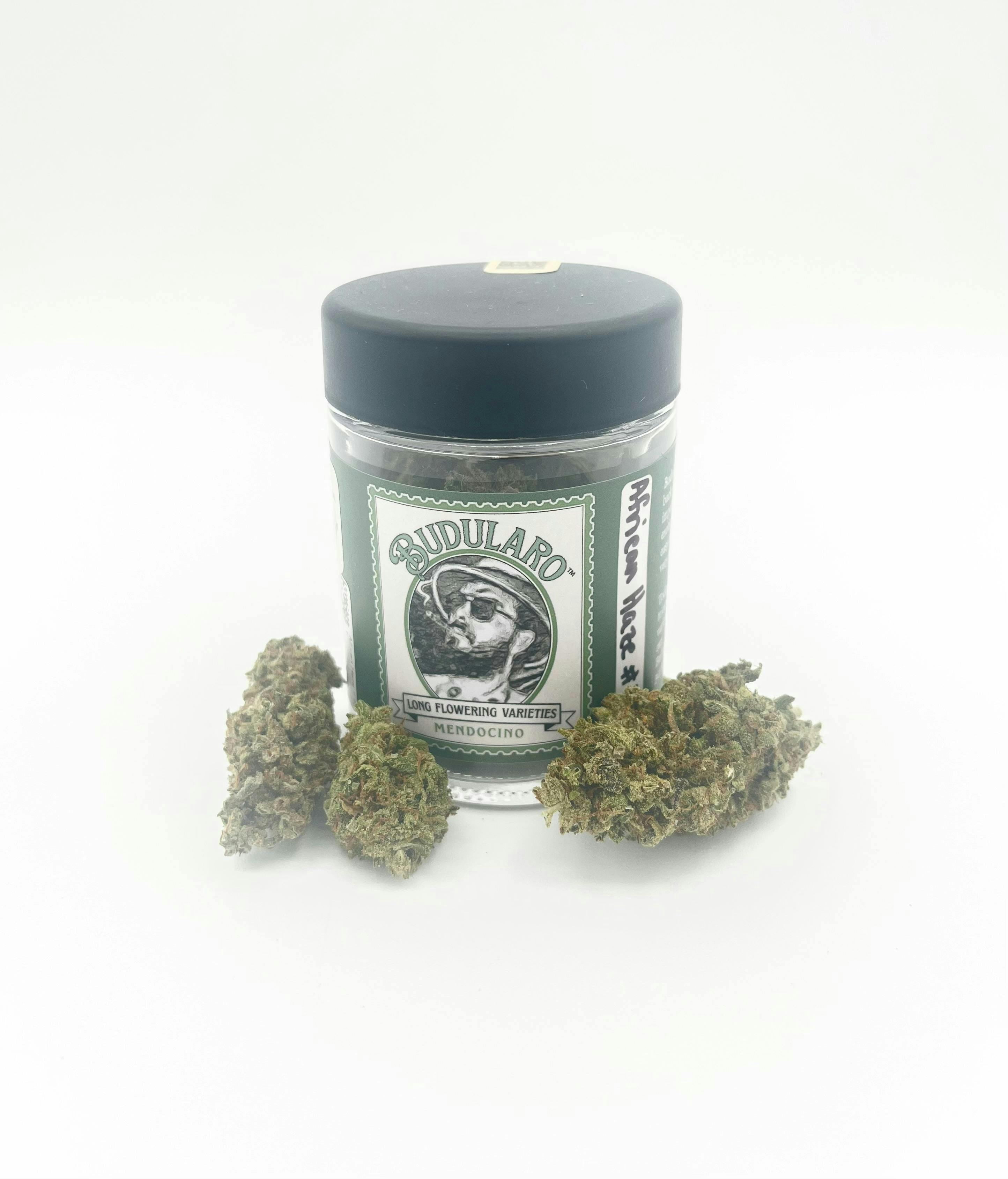 African Haze #11 | Big Buds | 3.5g