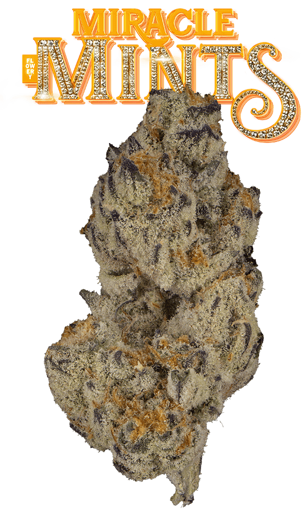Miracle Mints Big Buds