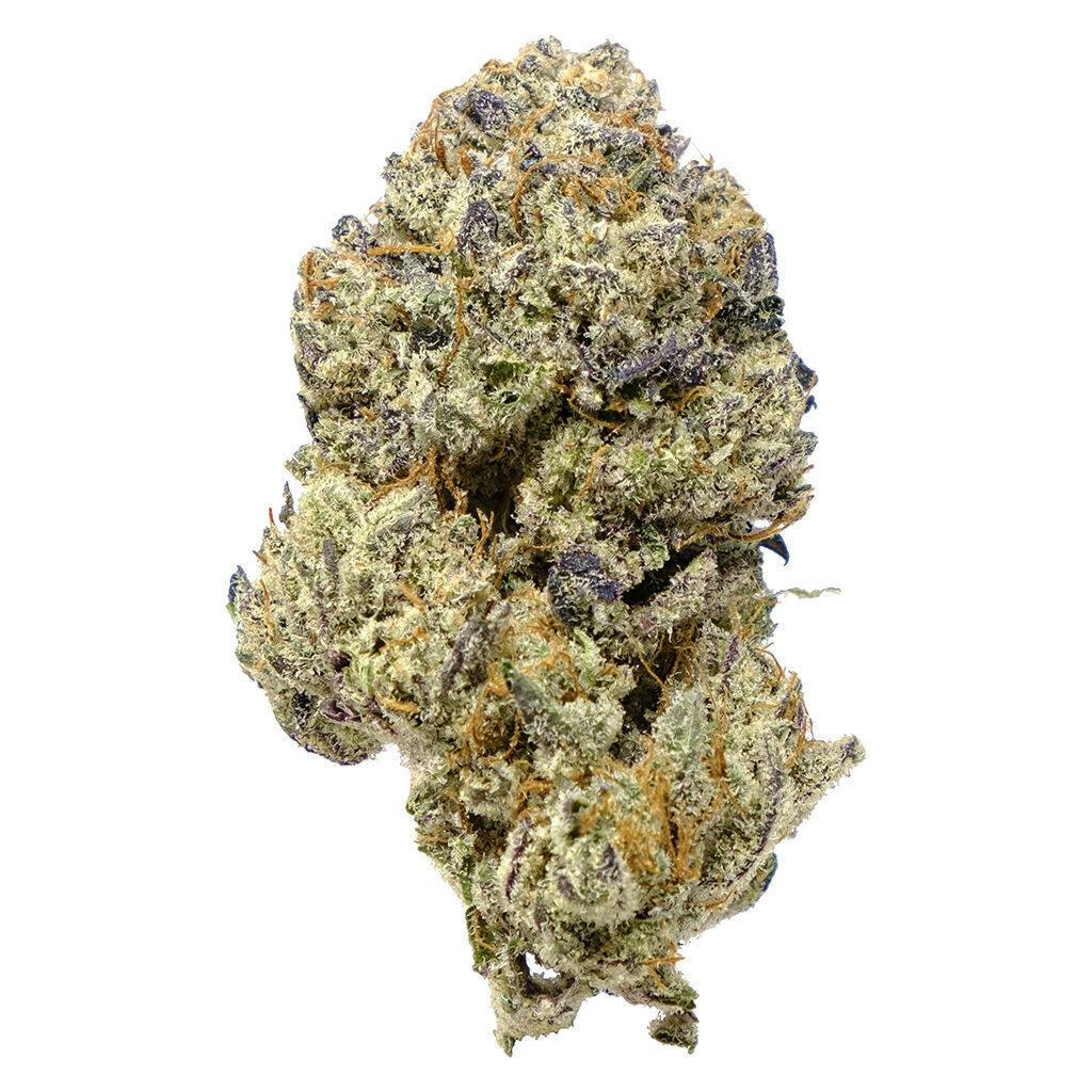 Notorious | Big Buds | 7g
