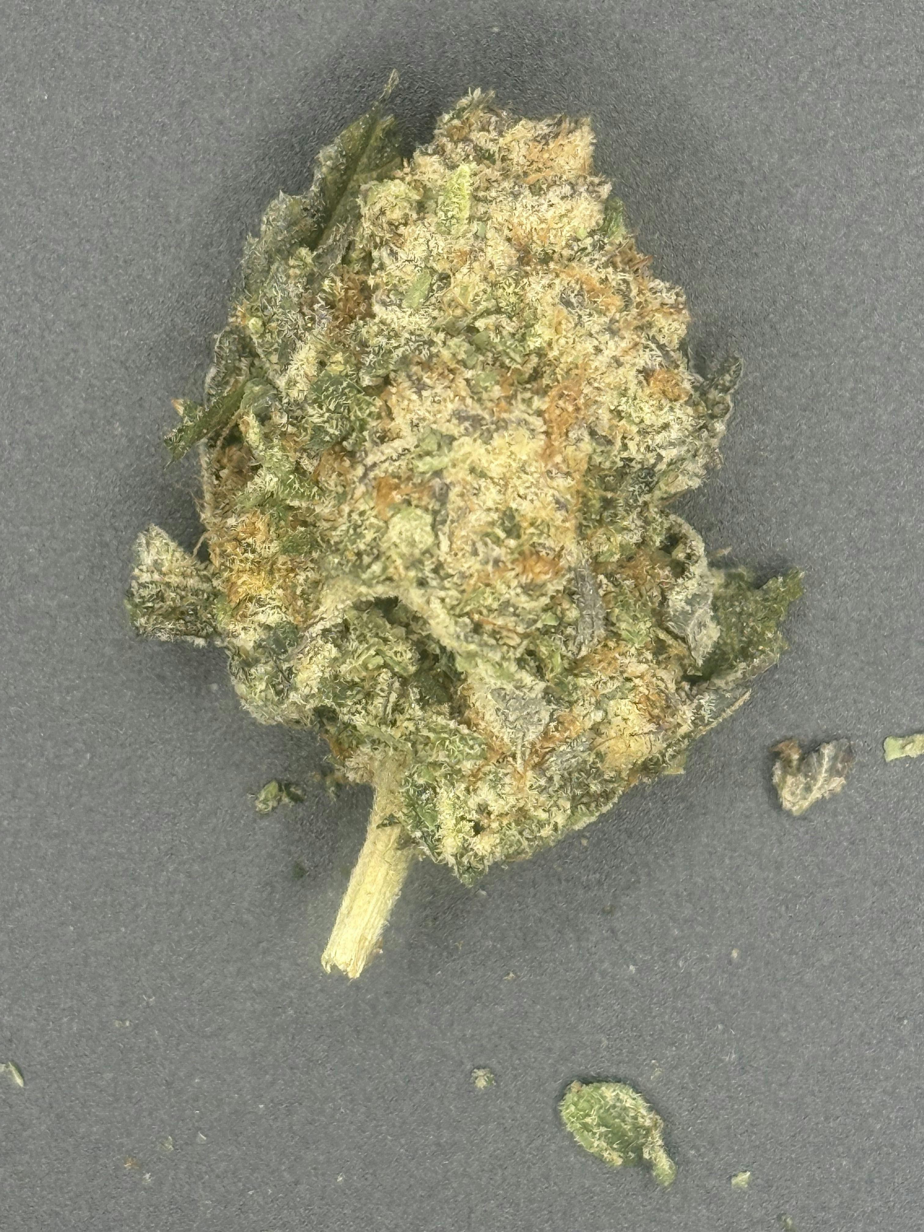 Purple Oreoz | Big Buds | 1g