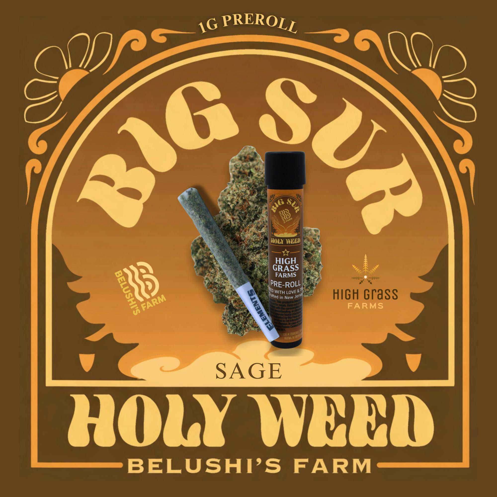 sage | Joints | 1g at Earth & Ivy Lakehurst Dispensary