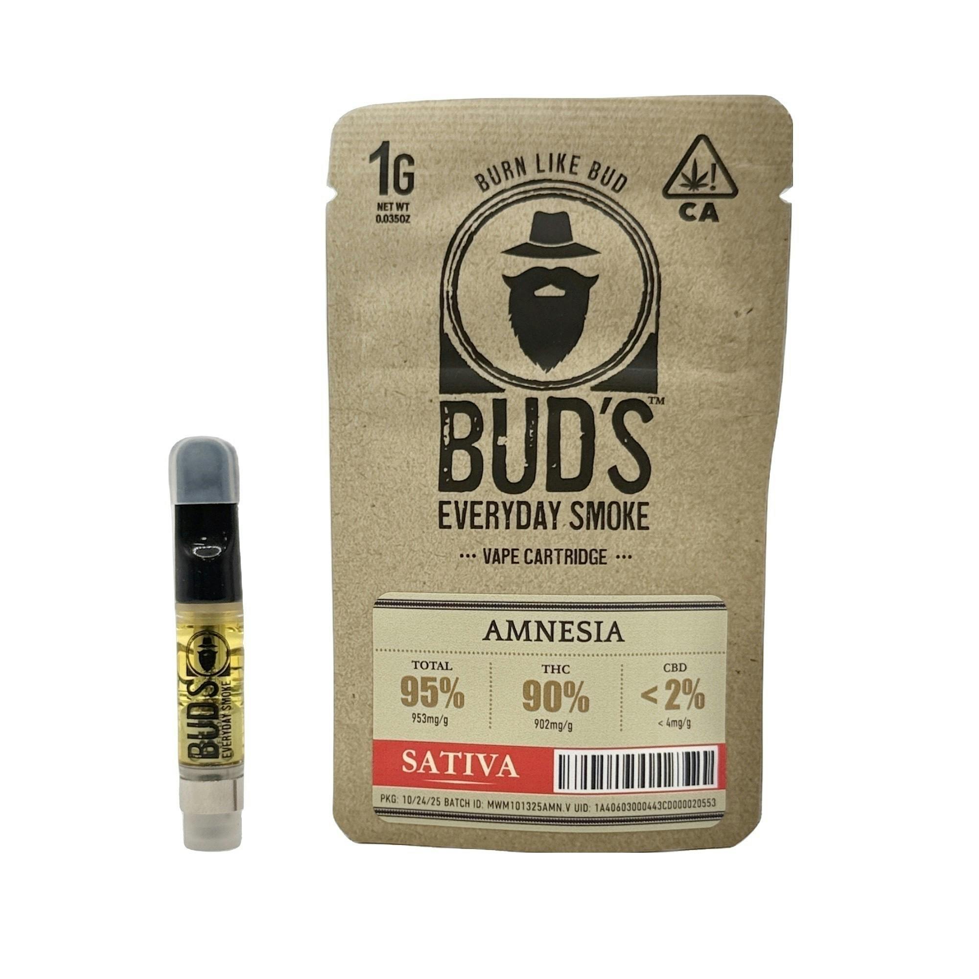 Amnesia: 1g