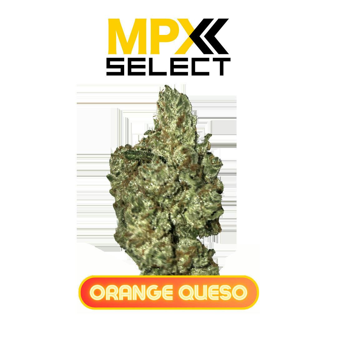 Orange Queso | Big Buds | 3.5g by MPX (Melting Point Extracts)