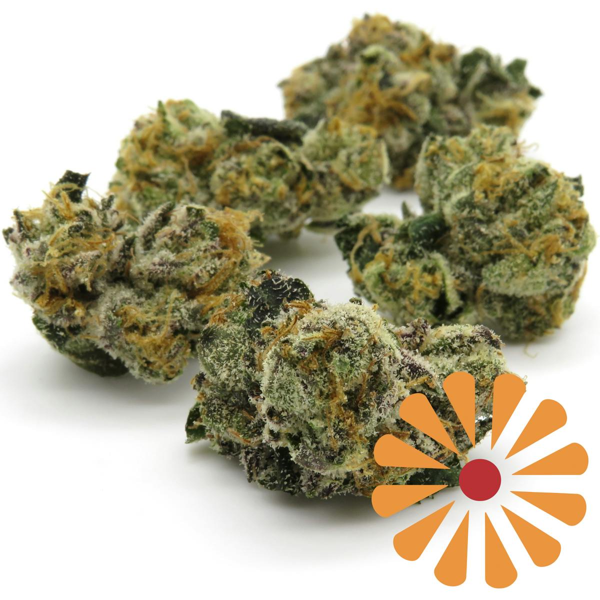 Forbidden Candy | Big Buds | 7g