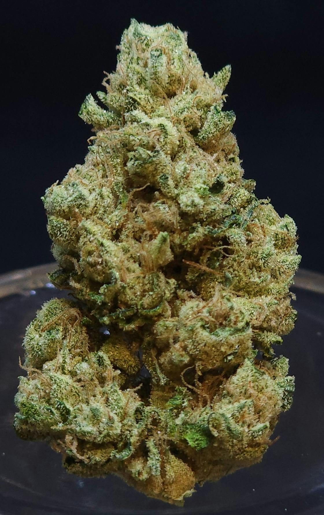 Phatso | Big Buds | 14g