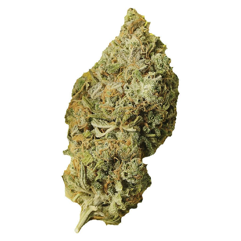 orange bud | Big Buds | 1g