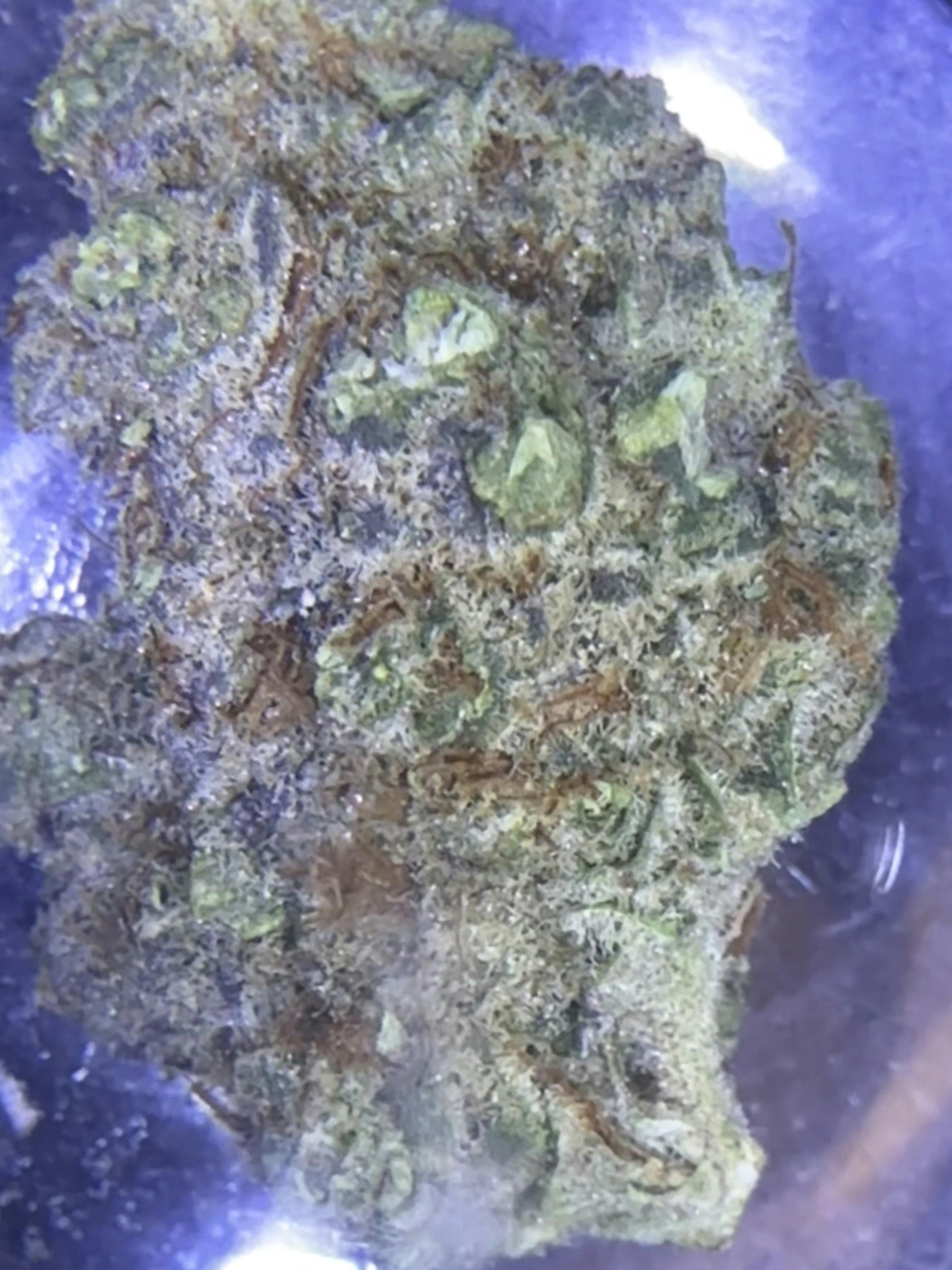 Double Delight | Big Buds | 1g