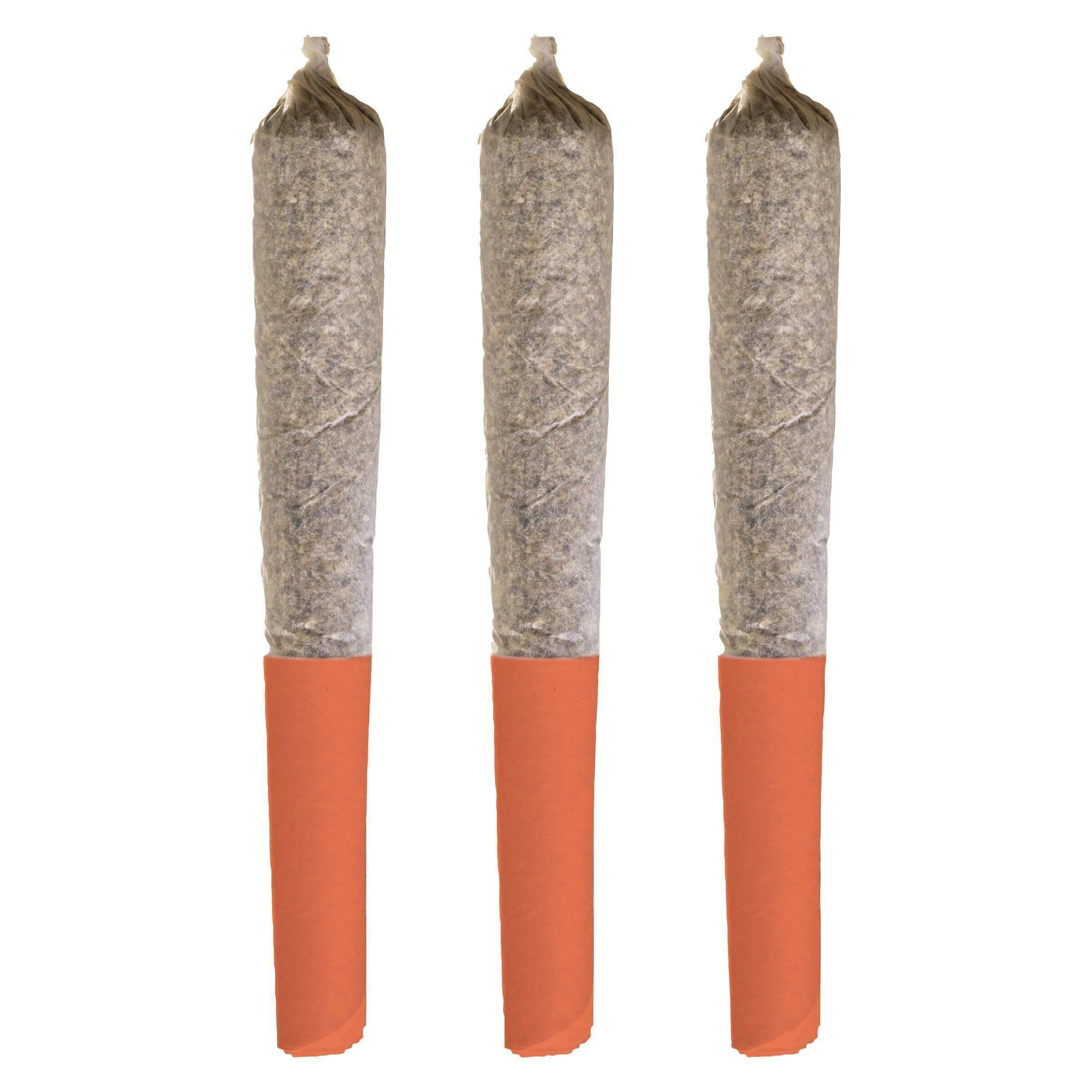 Orange Layer Cake | Minis | 0.5g | 3pk