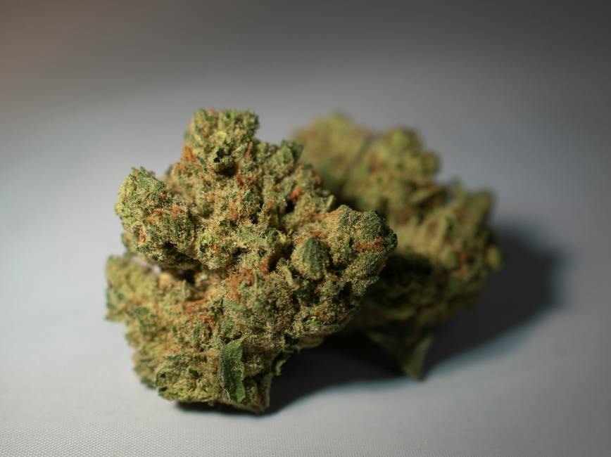 Pom Odder Popz | Buds | 14g