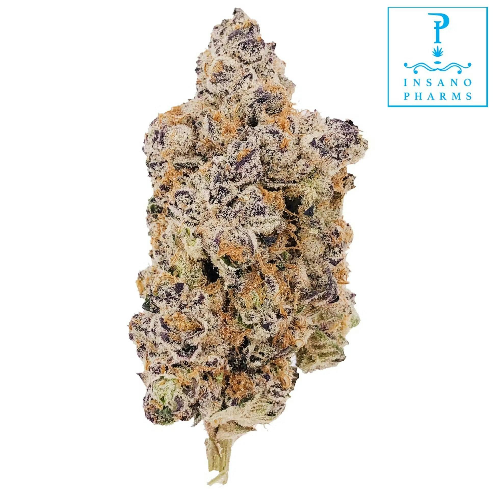 Gypsy Soap | Big Buds | 1g