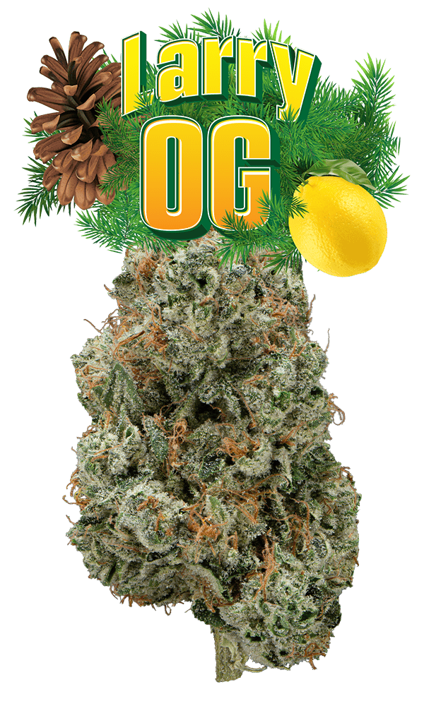 Larry Og Big Buds
