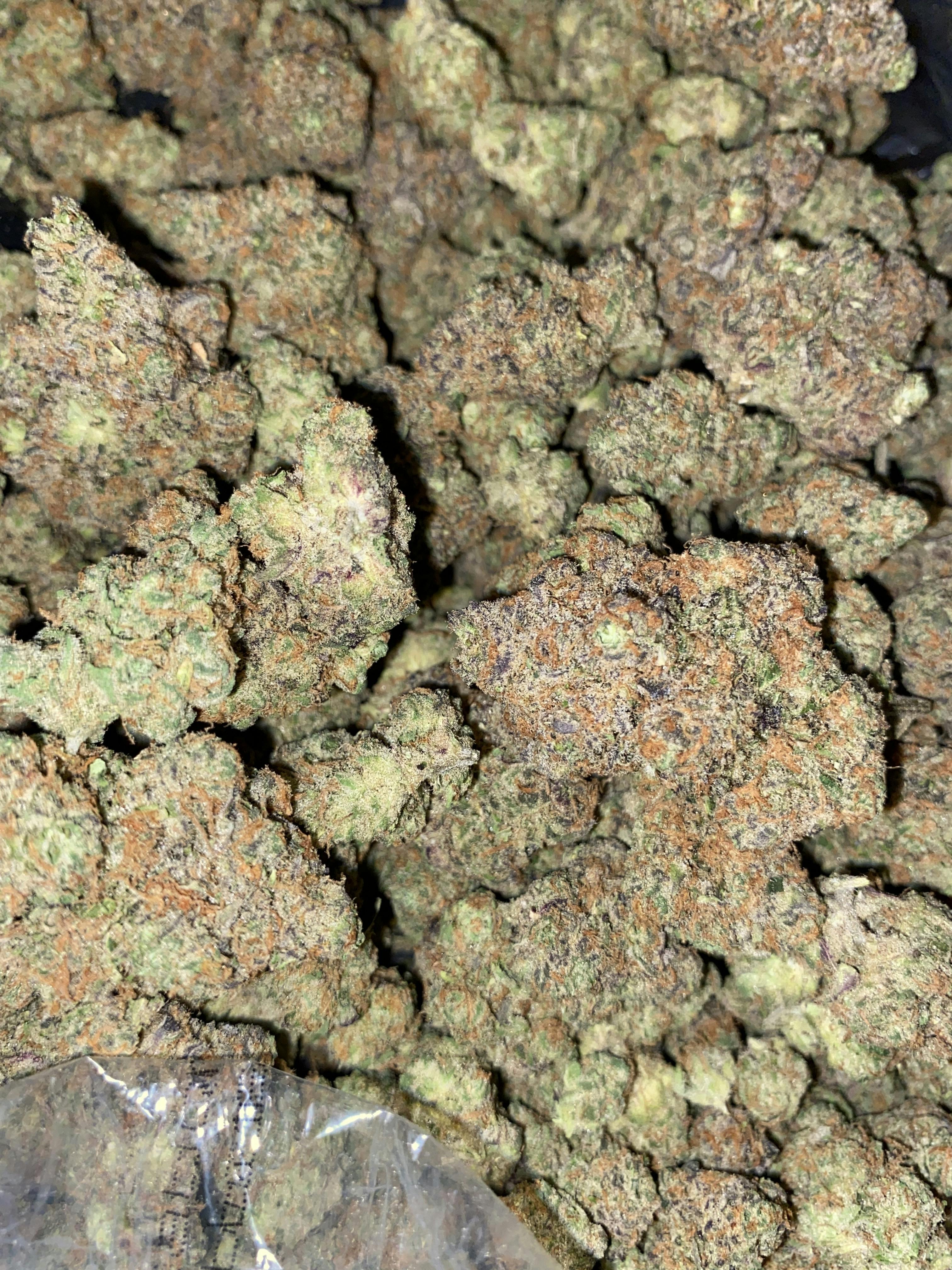 Gelato | Big Buds | 14g by The Green Well