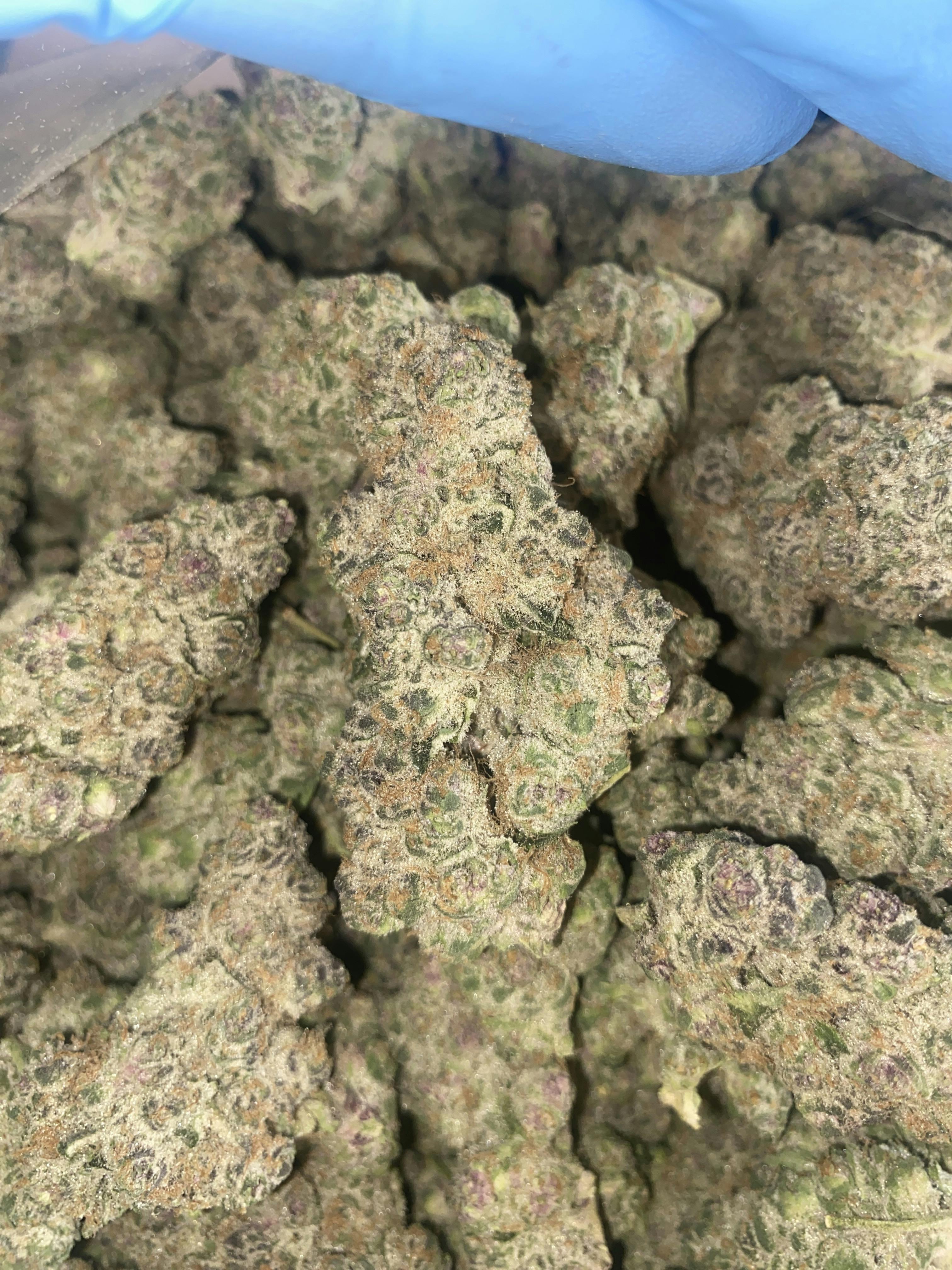 Super Boof | Big Buds | 1g by The Green Well