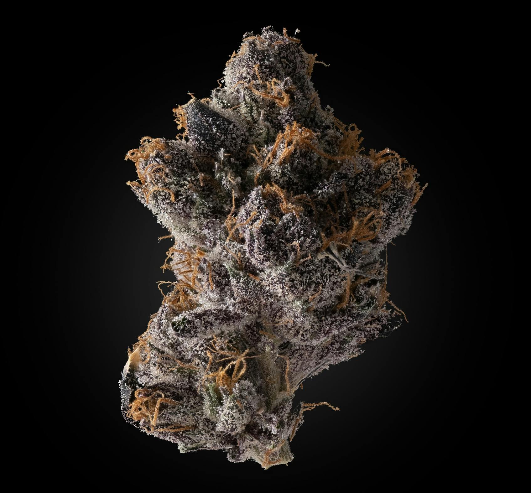 Neptune Candy | Big Buds | 3.5g