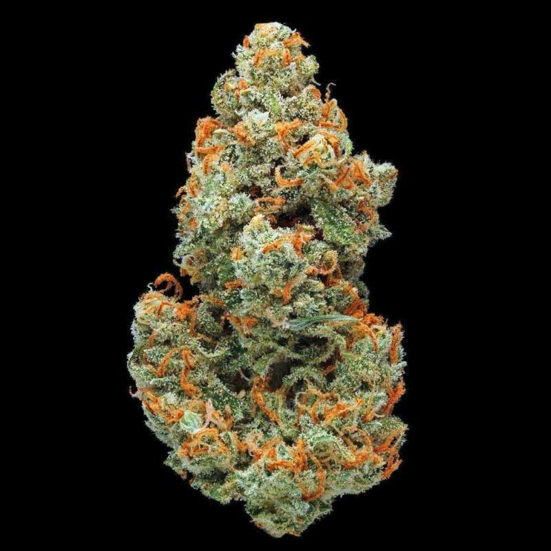 Jack Herer | Buds | 14g by Platinum Reserve
