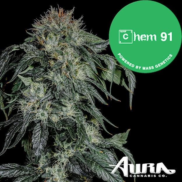 Chem 91 | Big Buds | 3.5g by Aura