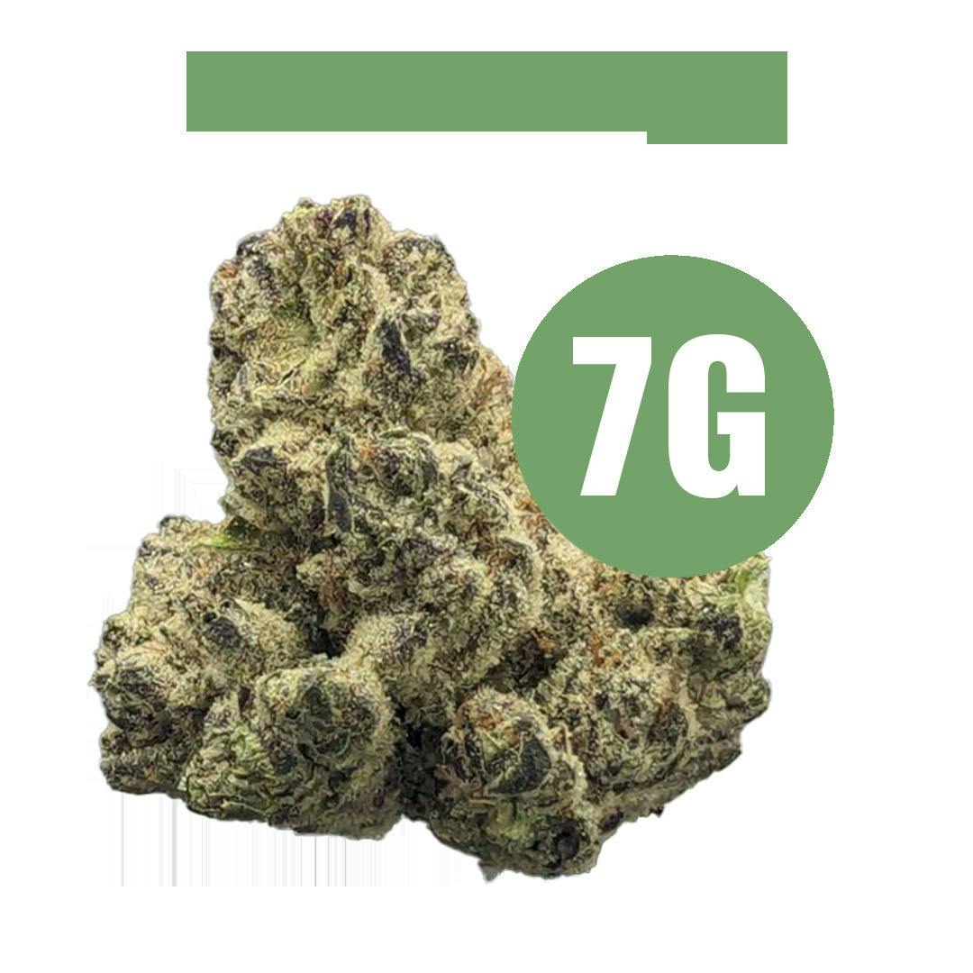 Point Break | Big Buds | 7g by GrowHealthy