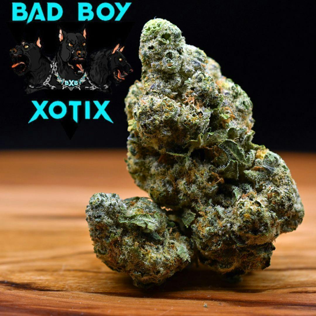 Zodiak | Big Buds | 3.5g