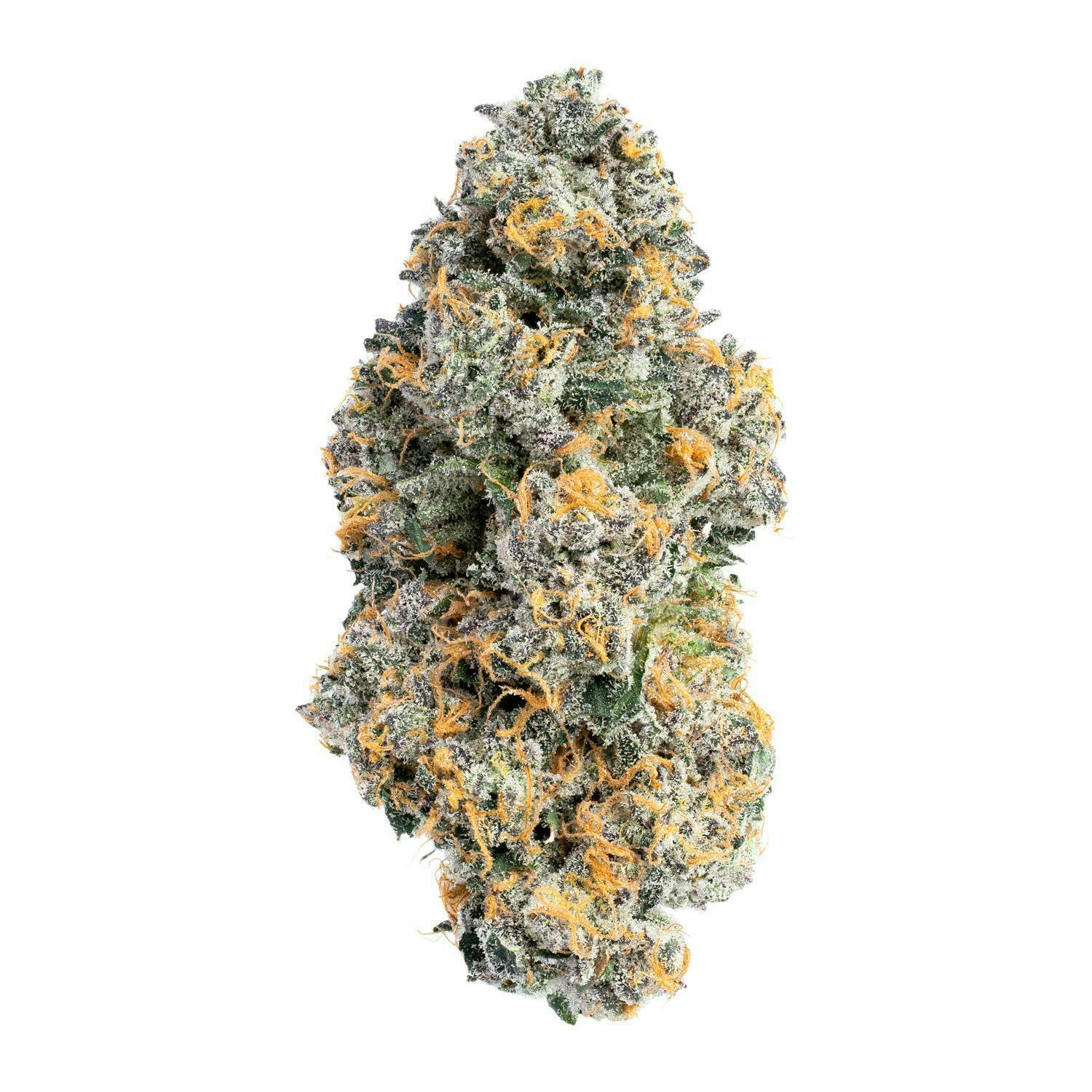 Woogity | Big Buds | 3.5g by Project Packs