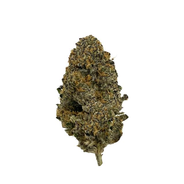 Squatters | Big Buds | 28g