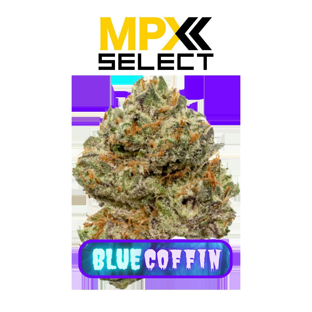 Blue Coffin | Big Buds | 3.5g by MPX (Melting Point Extracts)