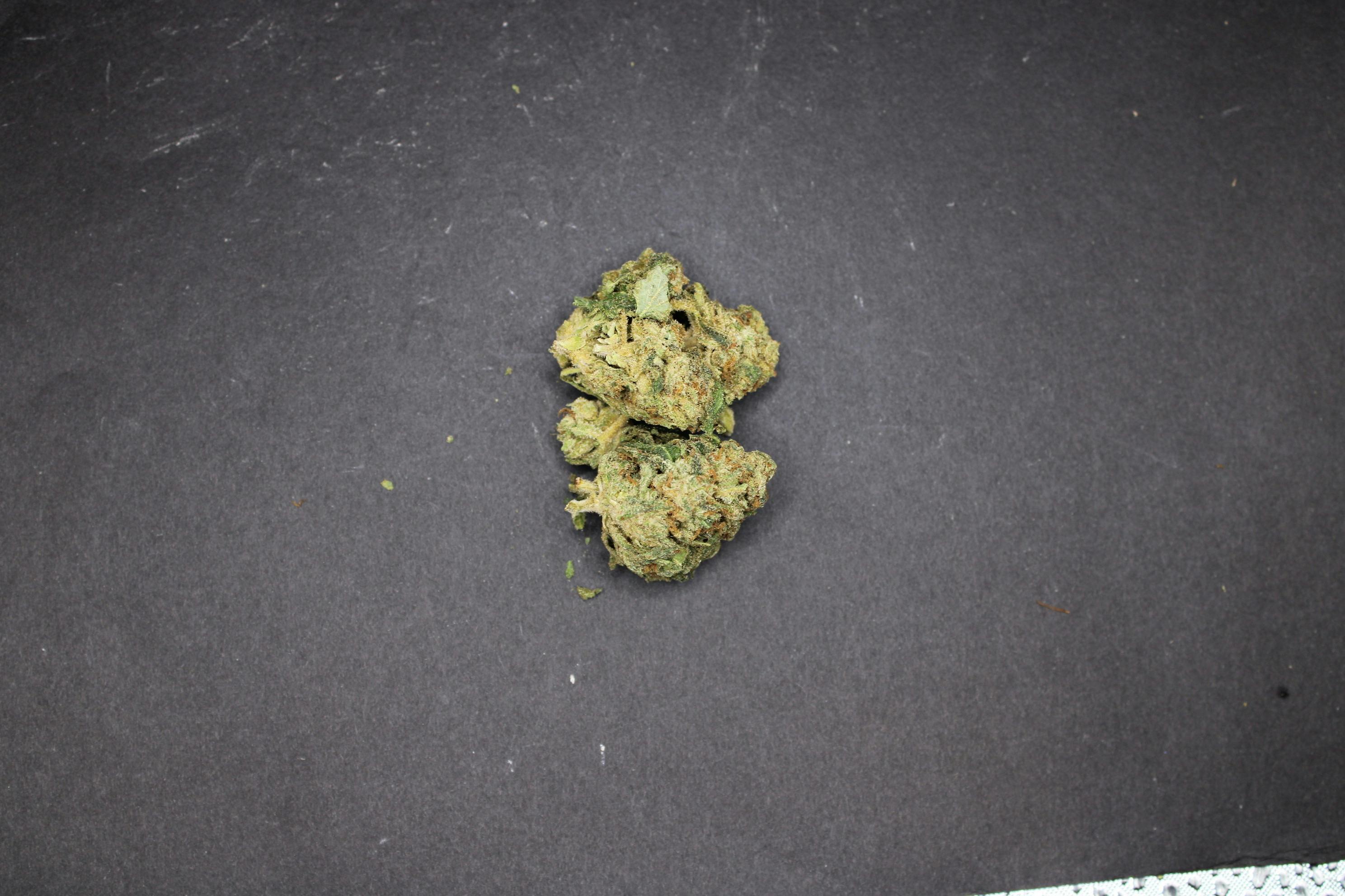 Permanent Marker | Big Buds