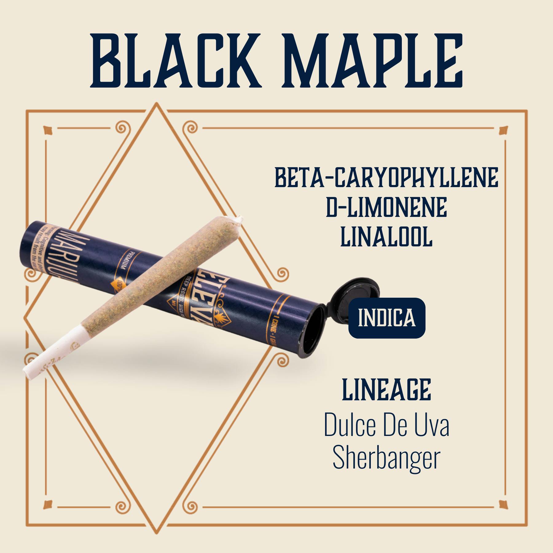 Black Maple | Joints | 1g