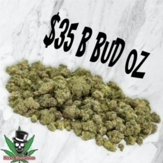 Chocolope | Big Buds | 28g