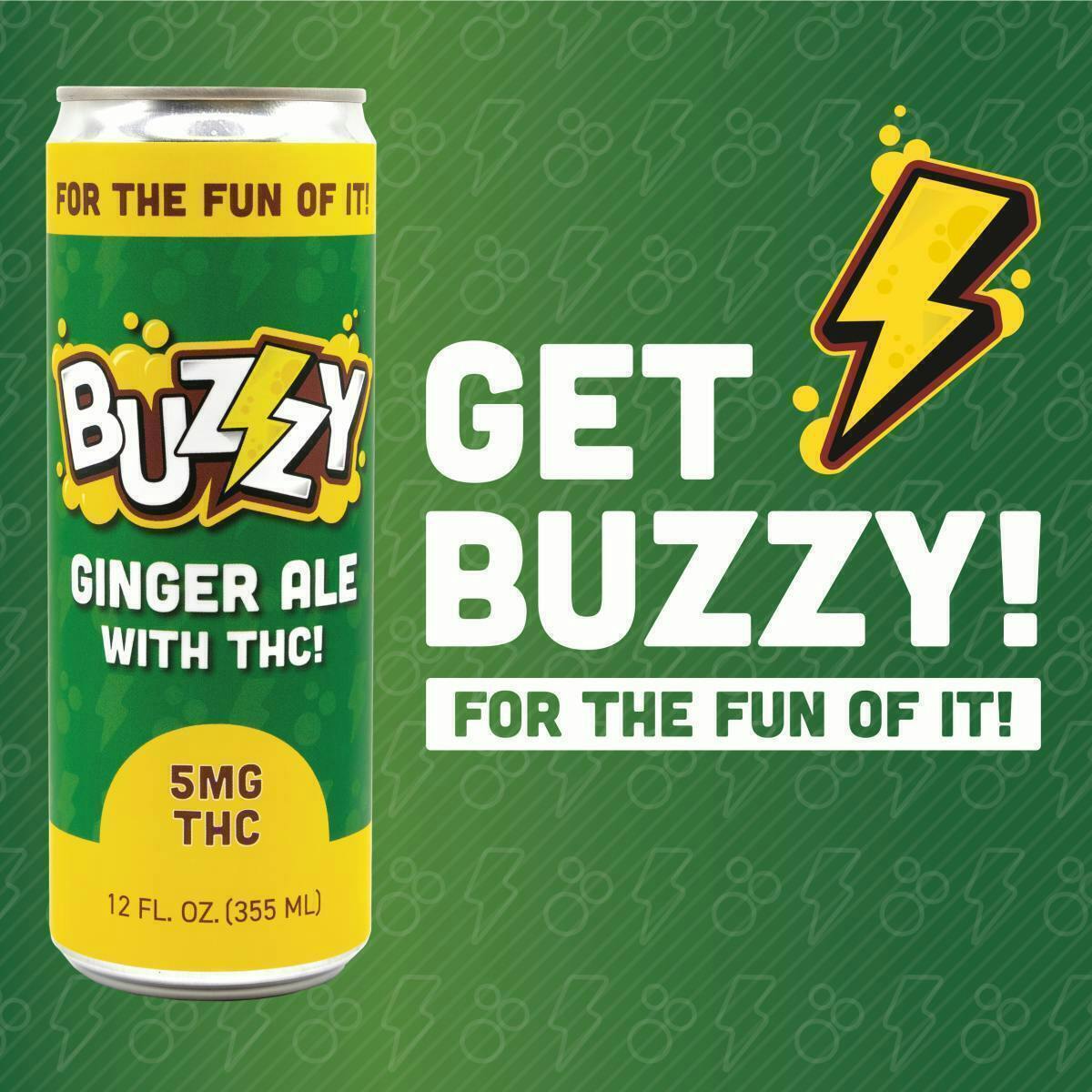Ginger Ale | Non-carbonated | 5mg | 12fl oz at The Green Lady Dispensary
