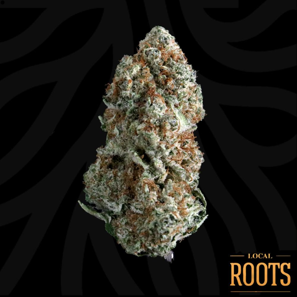 Forest Queen | Big Buds | 3.5g