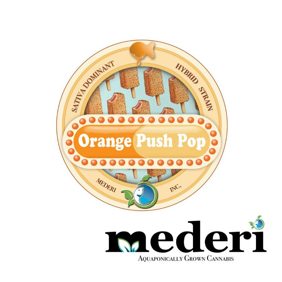 Orange Push Pop | Infused Joints | 1g