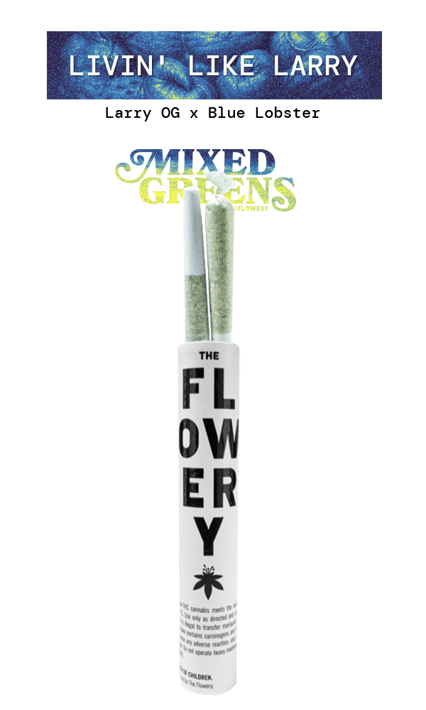 Livin' Like Larry | Joints | 0.5g | 2pk