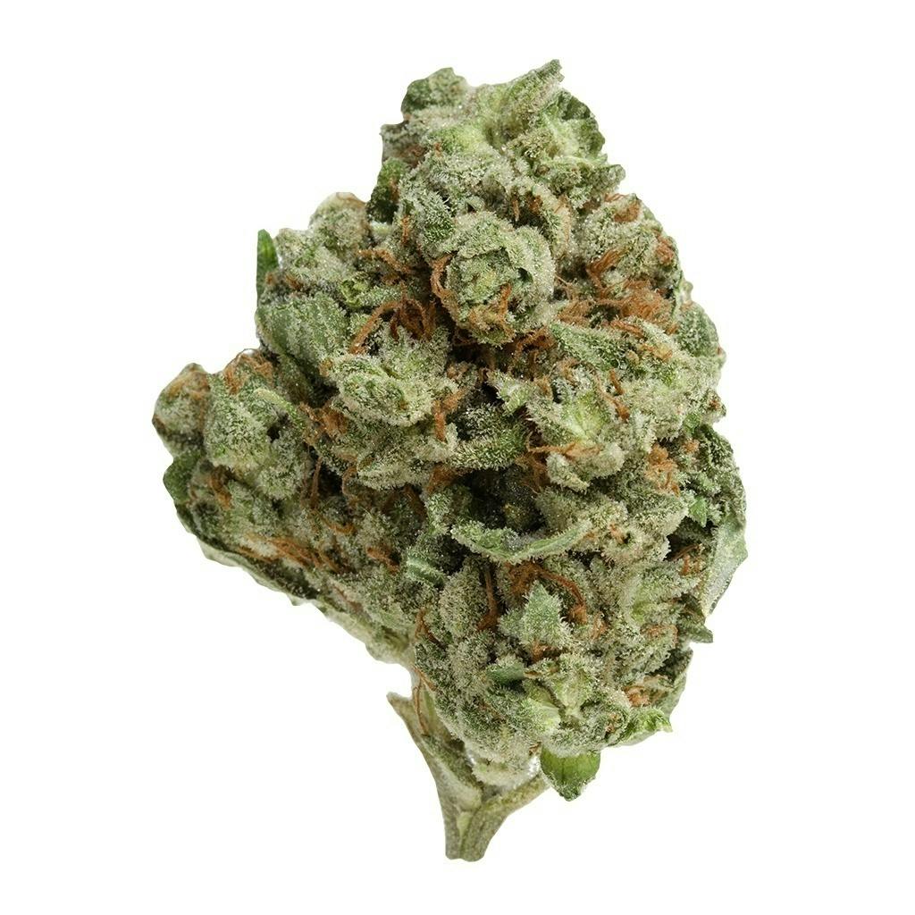 Ghost Train Haze | Big Buds | 3.5g