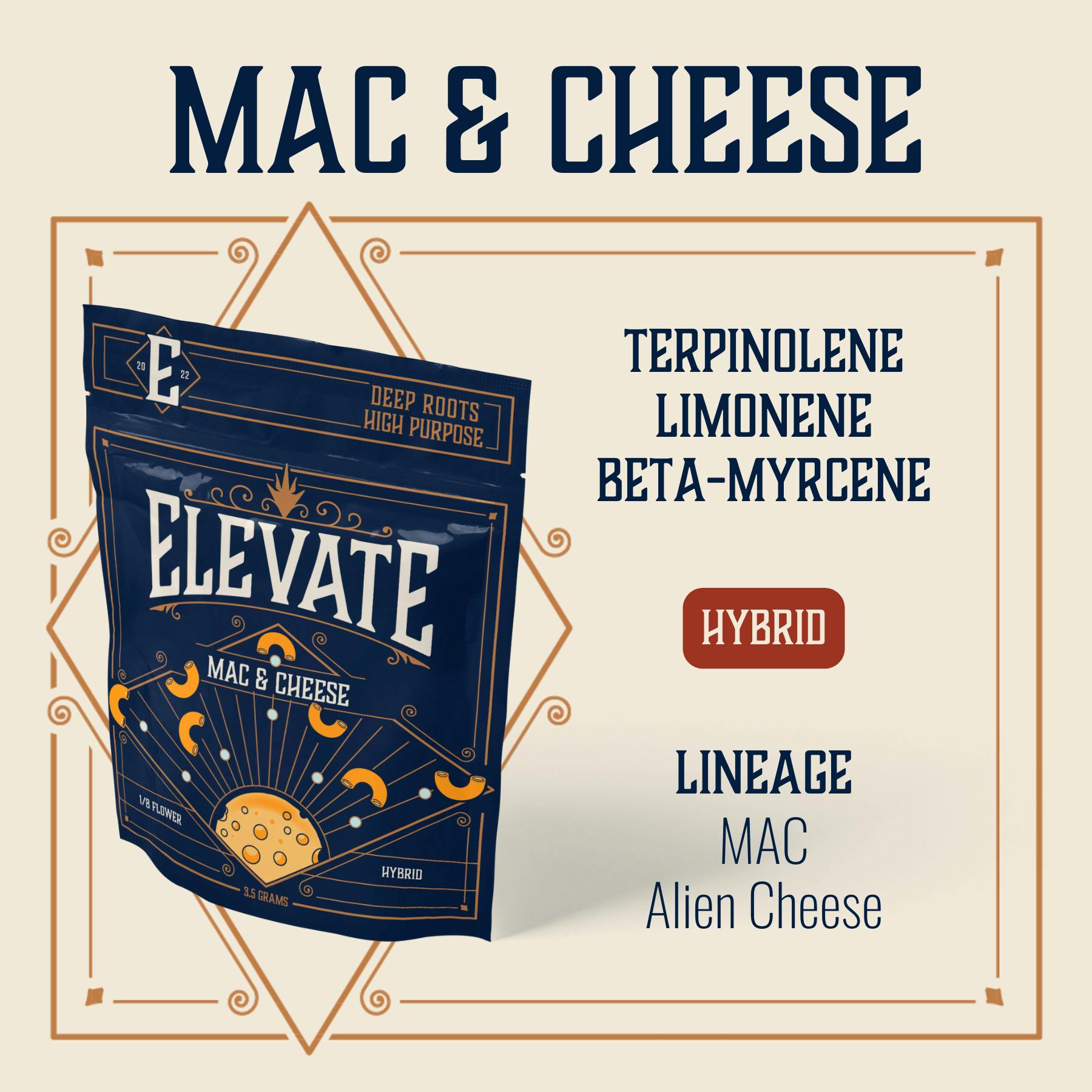 Mac & Cheese · Big Buds