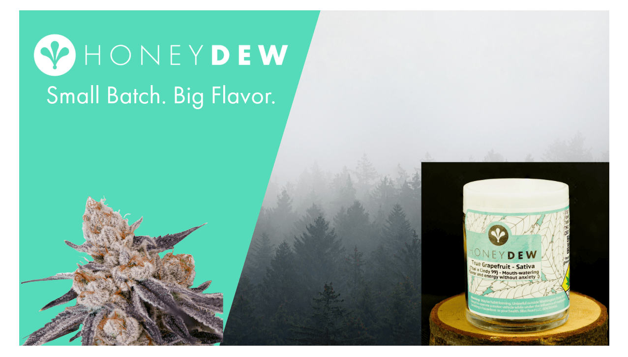 The Bear OG | Big Buds | 1g by Honeydew