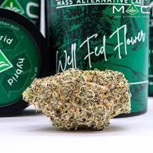 Rocket Punch | Big Buds | 3.5g by Mac