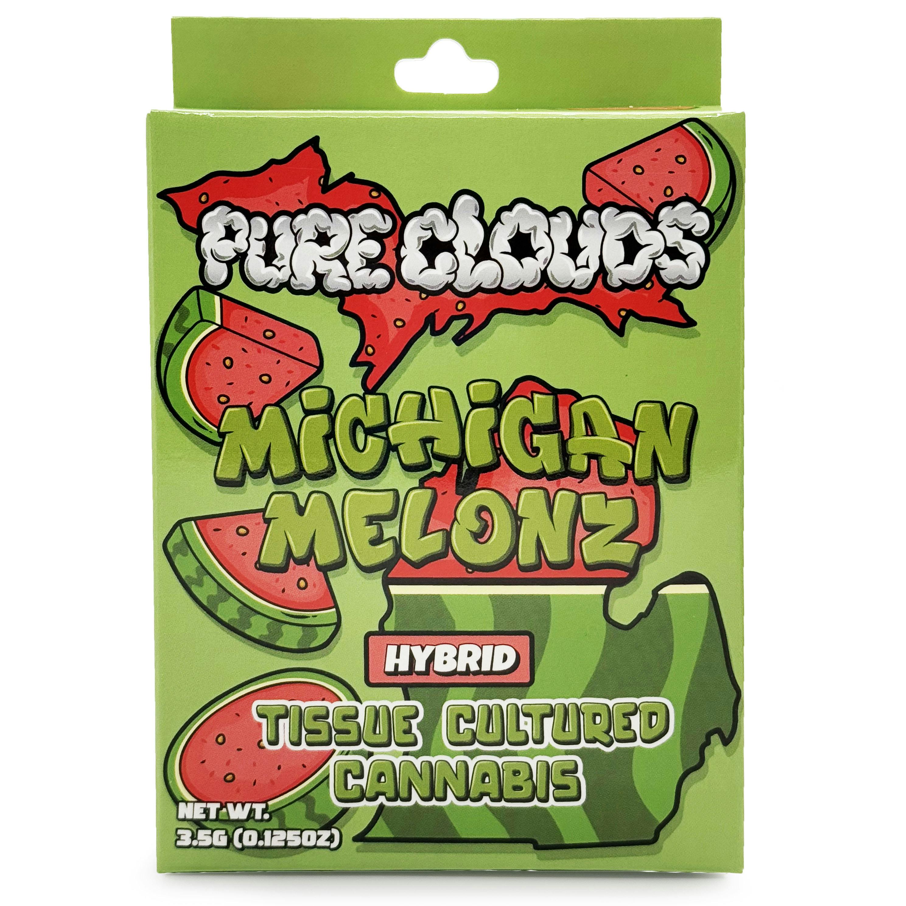 Michigan Melons | Big Buds | 3.5g