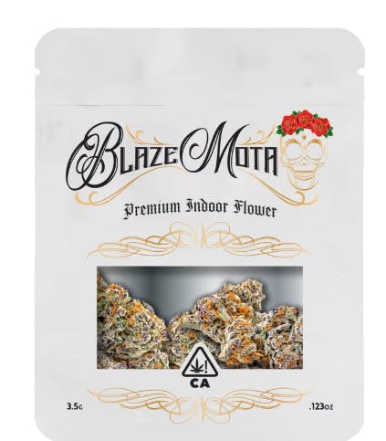 Blaze Mota — Zebra Ztripez #6
