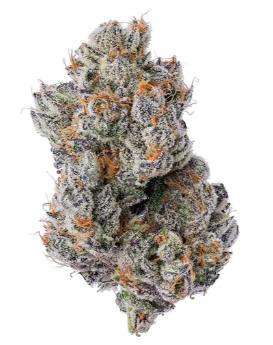 Purple Zushi | Big Buds | 7g