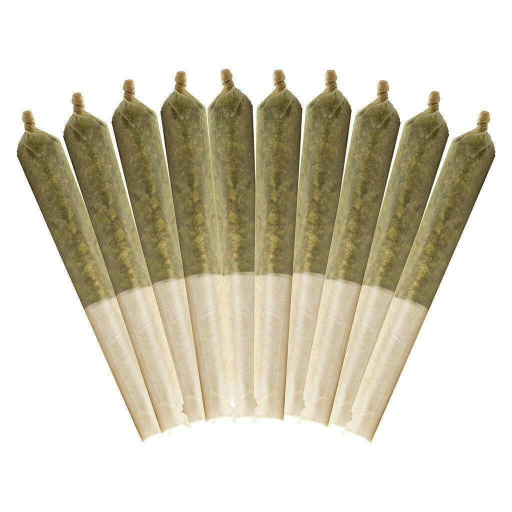 Ethos Glue | Minis | 0.5g | 10pk