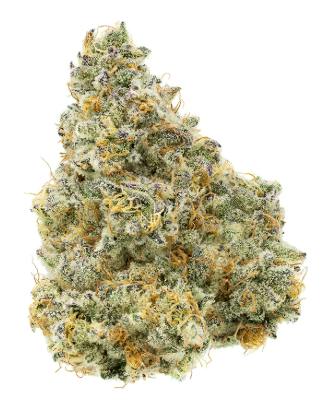 Animal Tree | Buds | 28g