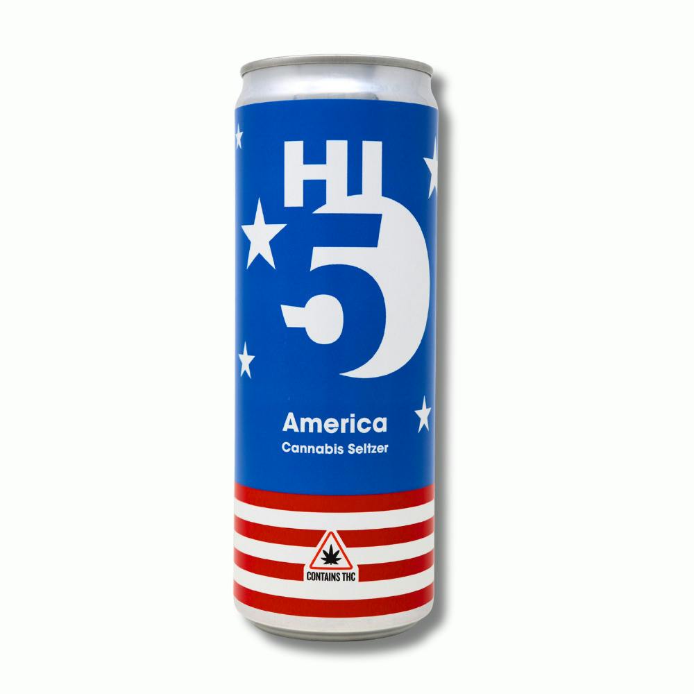 America Seltzer | Carbonated | 100mg by Theory Wellness