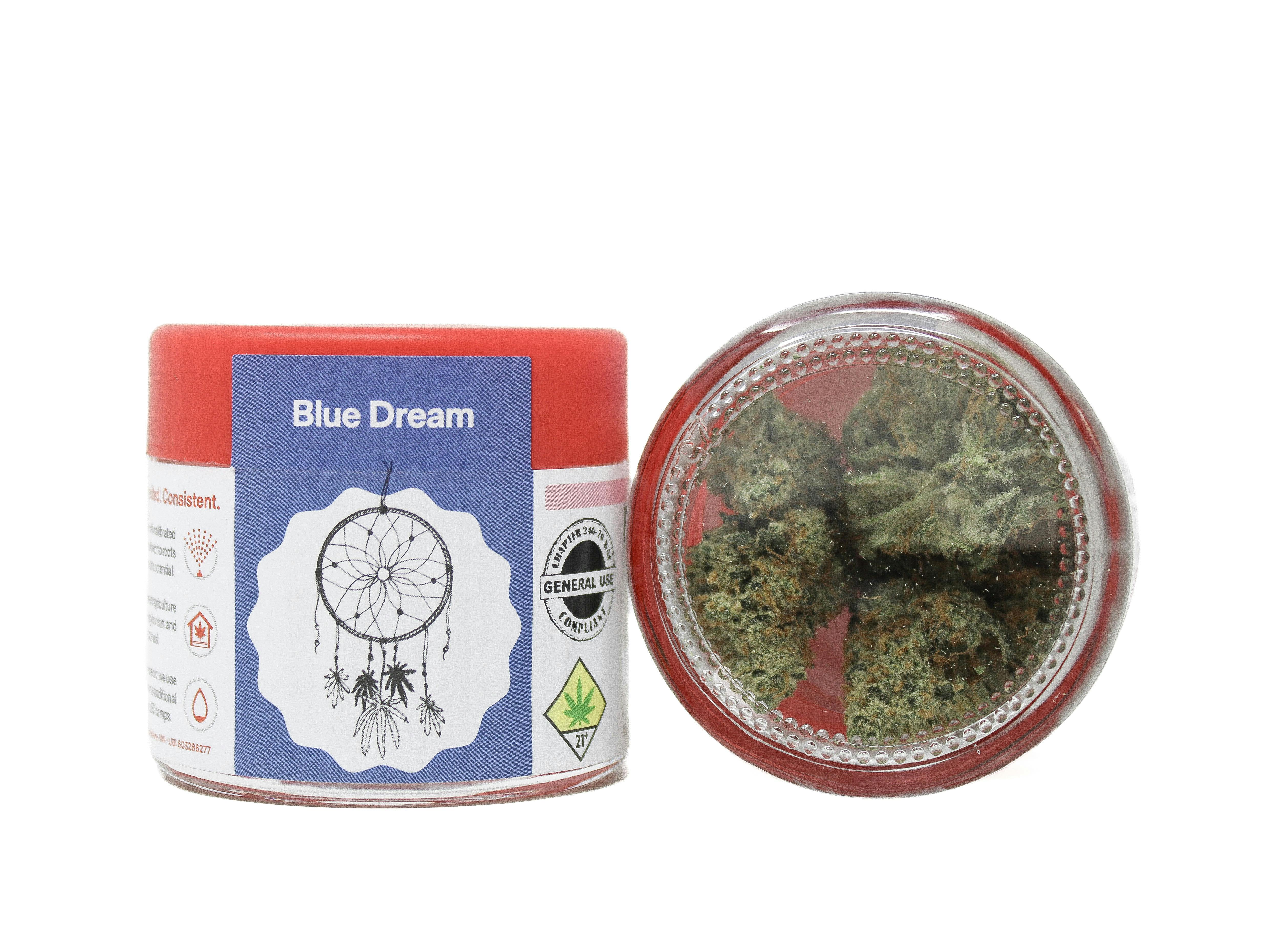 Blue Dream | Big Buds | 3.5g