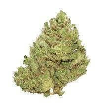Banana Cream | Big Buds | 7g