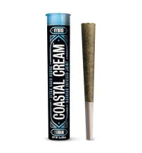 coastal cream — Joints